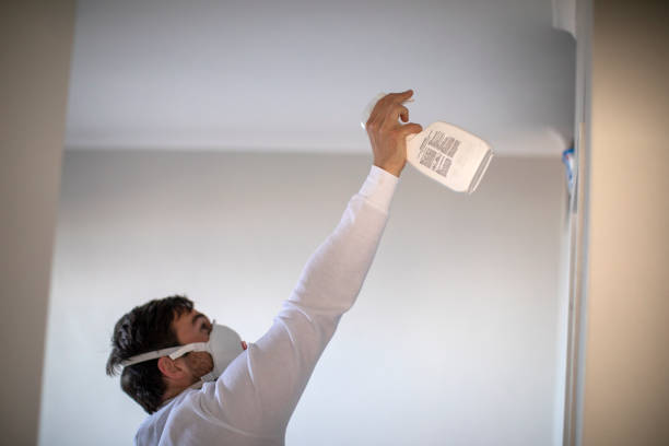 Best Black Mold Removal  in Rmichael, CA