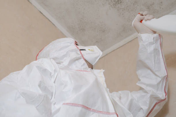 Best Residential Mold Removal  in Rmichael, CA