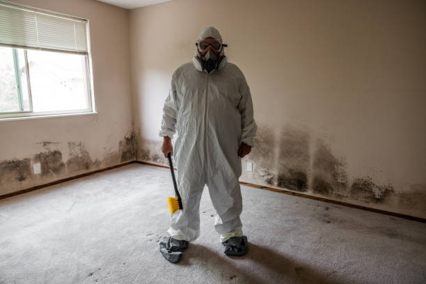 Crawl Space Mold Removal in Carmichael, CA